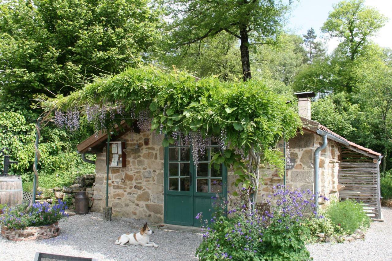Bed and Breakfast Domaine Les Teuilleres Lacam-dʼOurcet Zewnętrze zdjęcie